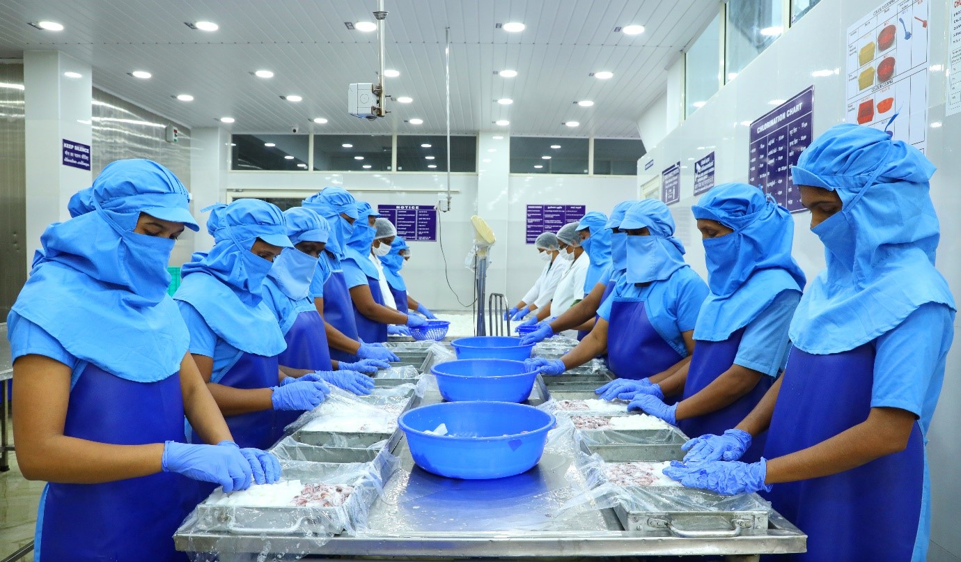 Celebrating The Rise Of Women In India s Seafood Saga INDIAN SEAFOOD Celebrating the rise of women in india s seafood saga indian seafood